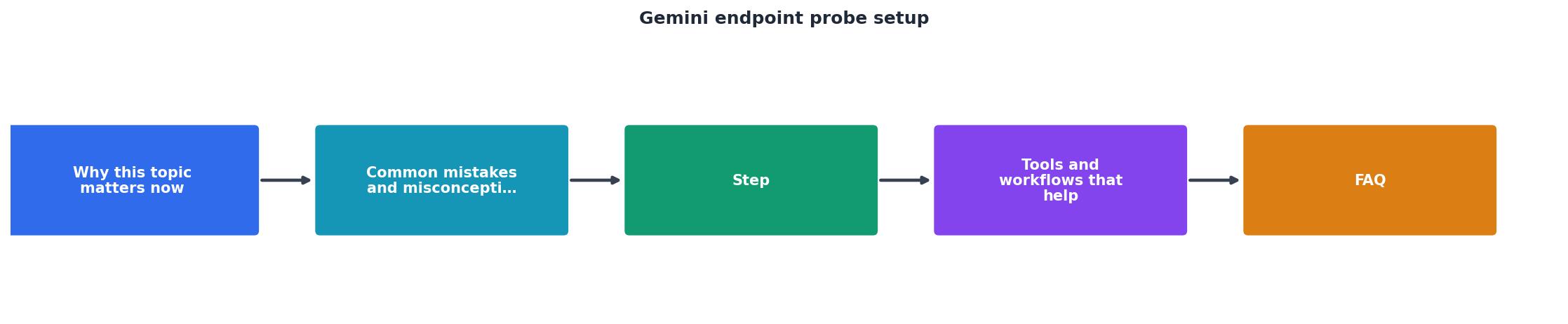 Gemini endpoint probe setup process
